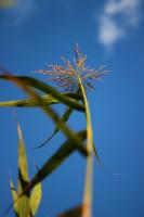 Bifogad bild: edgeIMG_3758.jpg